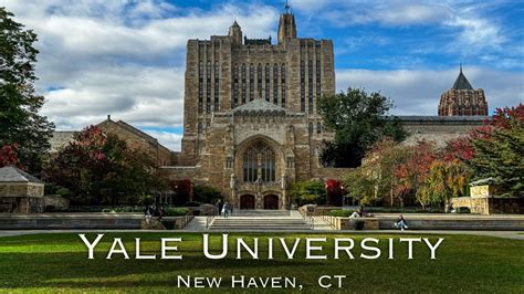 Yale 23.